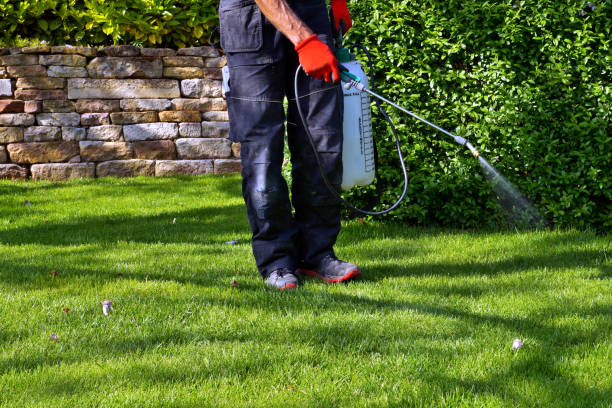 Best Residential Pest Control  in Mbrian Park, CA